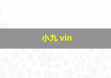 小九 vin